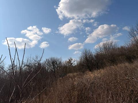 ділянка за адресою масив Надія