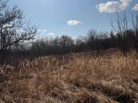 участок по адресу масив Надія