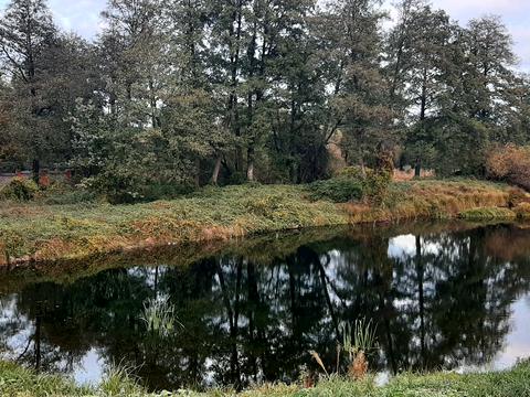 будинок за адресою Пріозерна