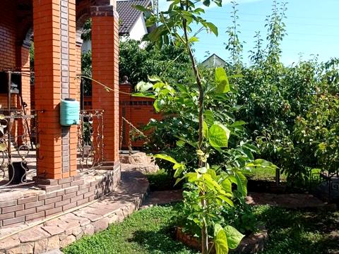 будинок за адресою Центральної Ради вул.