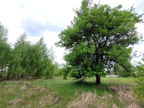 участок по адресу 