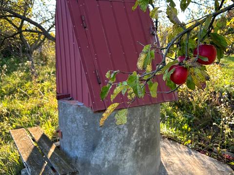ділянка за адресою Бузкова вул.