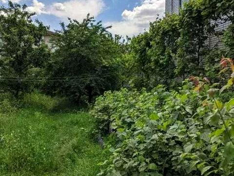 будинок за адресою прорізна