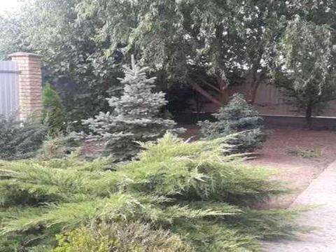 дом по адресу грушевського