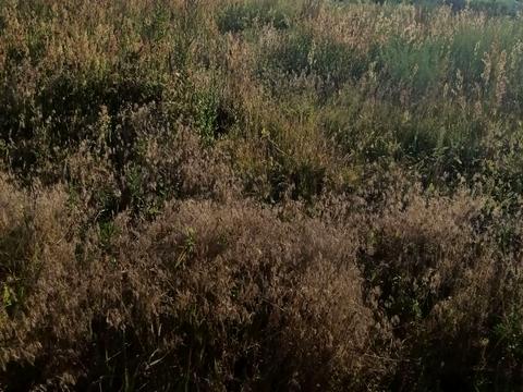 ділянка за адресою Житомирська вул. (Ватутіна), 105