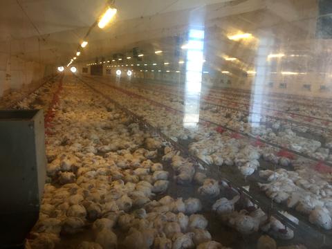 коммерческая по адресу Житній Ринок пл., 1