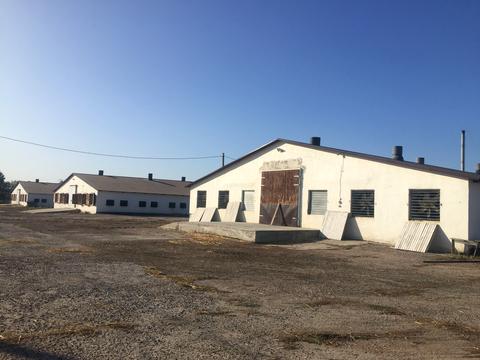 коммерческая по адресу Житній Ринок пл., 1