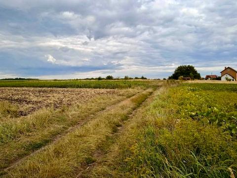 участок по адресу Школьная ул., 8