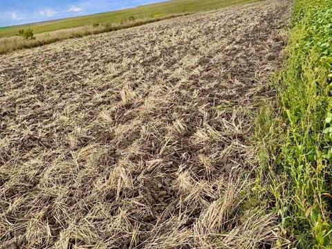 участок по адресу Школьная ул., 8