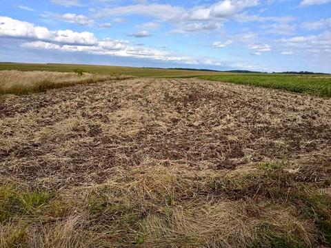 участок по адресу Школьная ул., 8