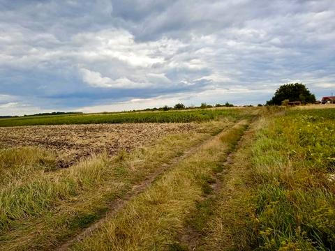 участок по адресу Школьная ул., 8