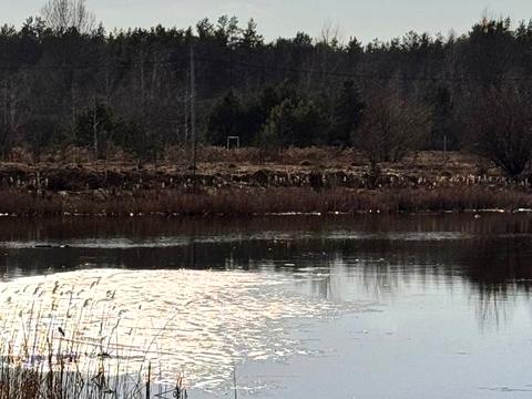 ділянка за адресою Шевченка