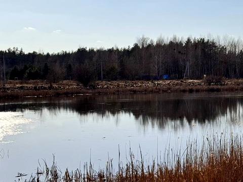 ділянка за адресою Шевченка