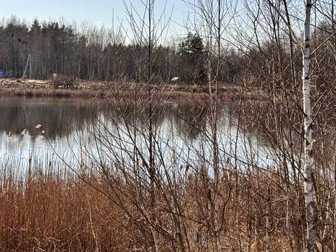 ділянка за адресою Шевченка