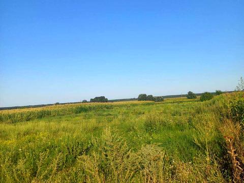 участок по адресу 