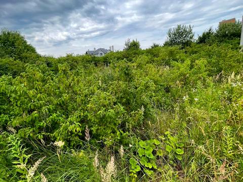 ділянка за адресою 