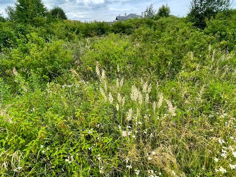 ділянка за адресою 