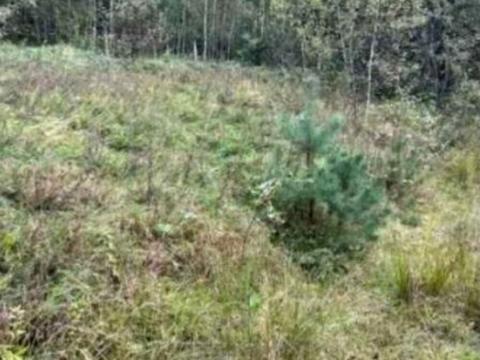 участок по адресу 