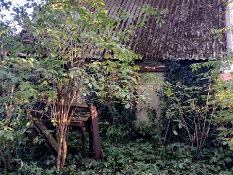 ділянка за адресою 