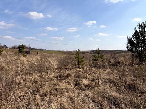 ділянка за адресою с. Біла Криниця, Івана Франка