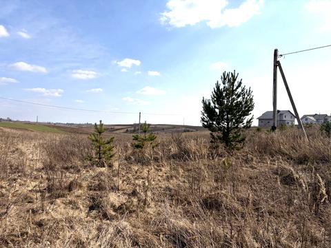 ділянка за адресою с. Біла Криниця, Івана Франка