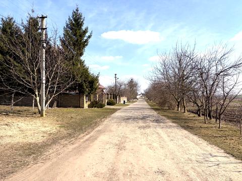 ділянка за адресою с. Біла Криниця, Івана Франка