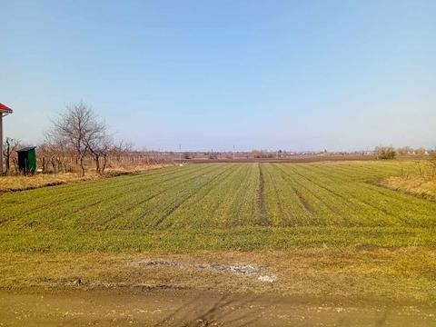 ділянка за адресою Лісова