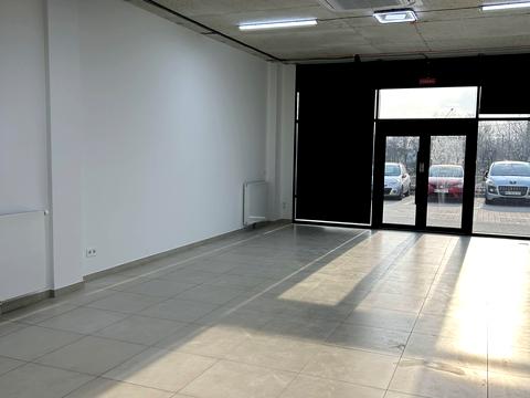 комерційна за адресою с. Пасіки-Зубрицькі, Дорожня, 60