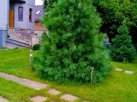 дом по адресу деснянська