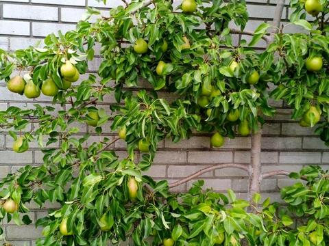 дом по адресу деснянська