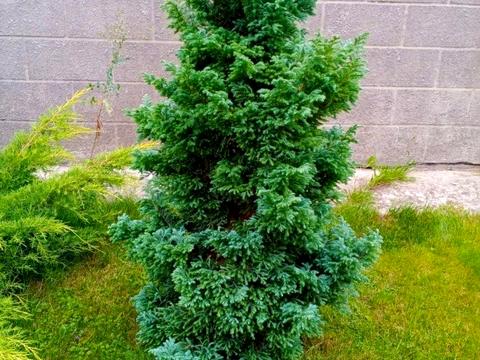 дом по адресу деснянська