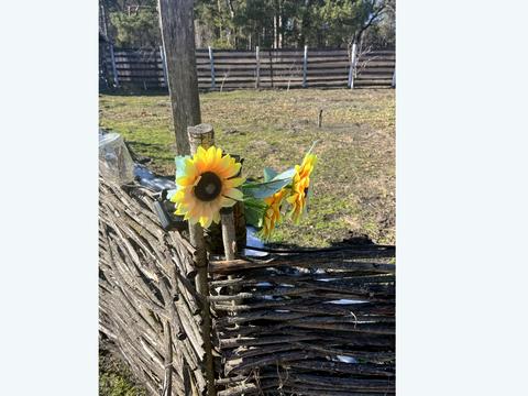 дом по адресу Шевченка