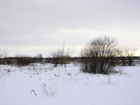 ділянка за адресою Липова