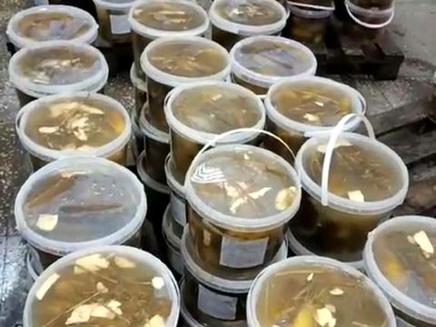 комерційна за адресою Центральна, 47