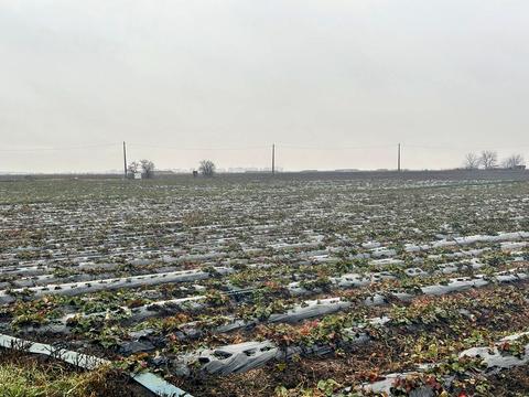 комерційна за адресою Центральна, 47