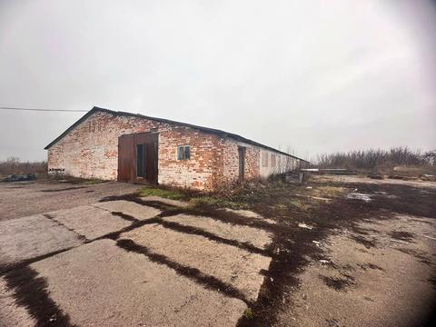 комерційна за адресою Центральна, 47