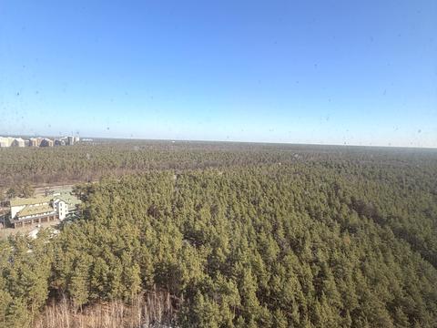 квартира по адресу Светлая ул., 3 к2