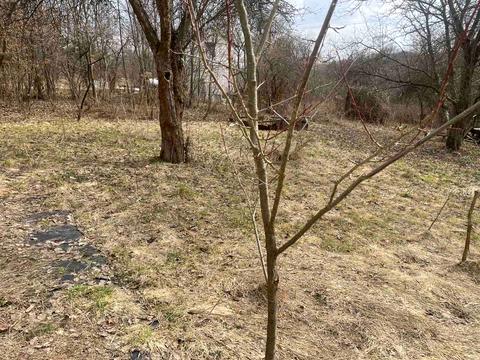 ділянка за адресою 