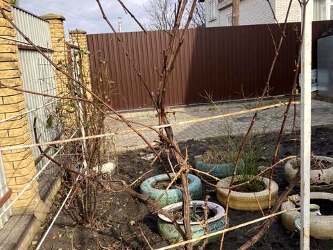 будинок за адресою Франка вул.