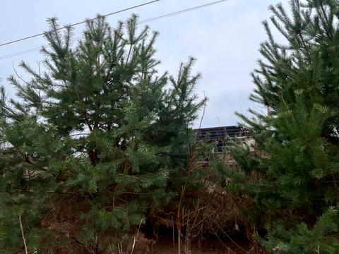 ділянка за адресою Сонячна, 6