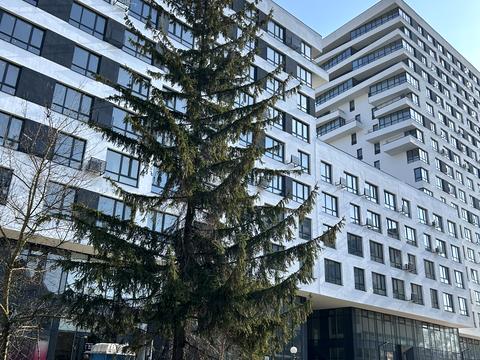квартира за адресою Замарстинівська вул. (Калініна), (Будинок)