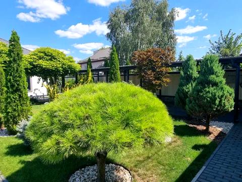 дом по адресу В Зої Космодемянської, 1