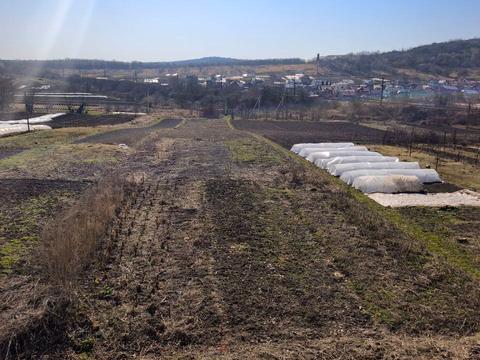 дом по адресу Миру, 65