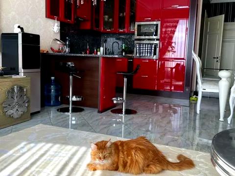 квартира по адресу Сечевых Стрельцов ул. (Артема), 52а