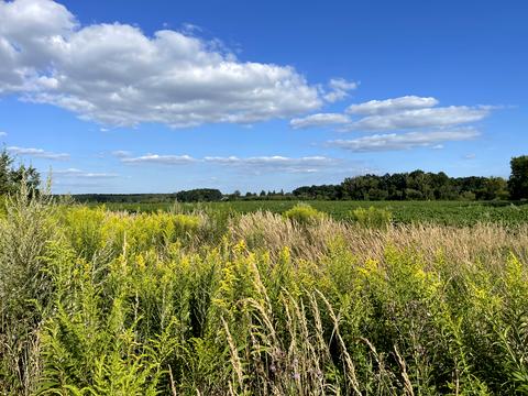 участок по адресу Івана Франка, 3