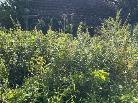 участок по адресу Івана Франка, 3