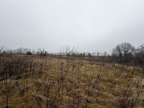 ділянка за адресою Садова