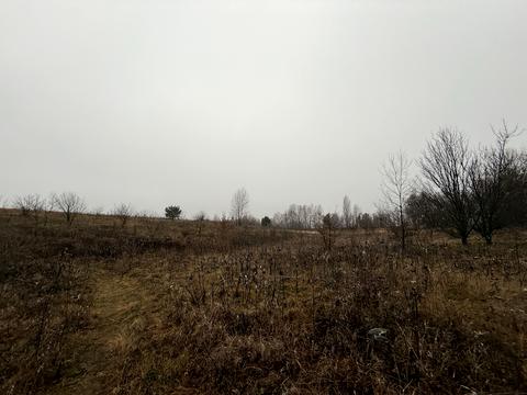 ділянка за адресою Садова