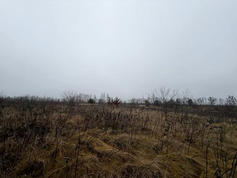 ділянка за адресою Садова