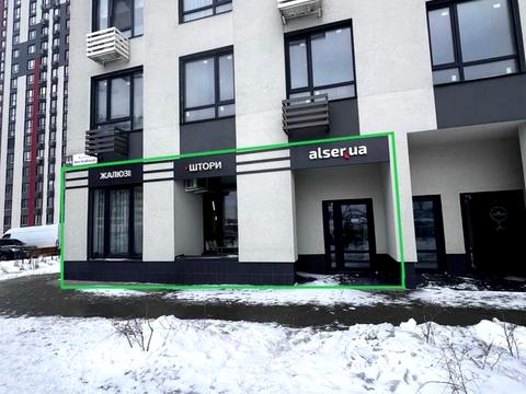 комерційна за адресою Всеволода Змієнка вул., 21